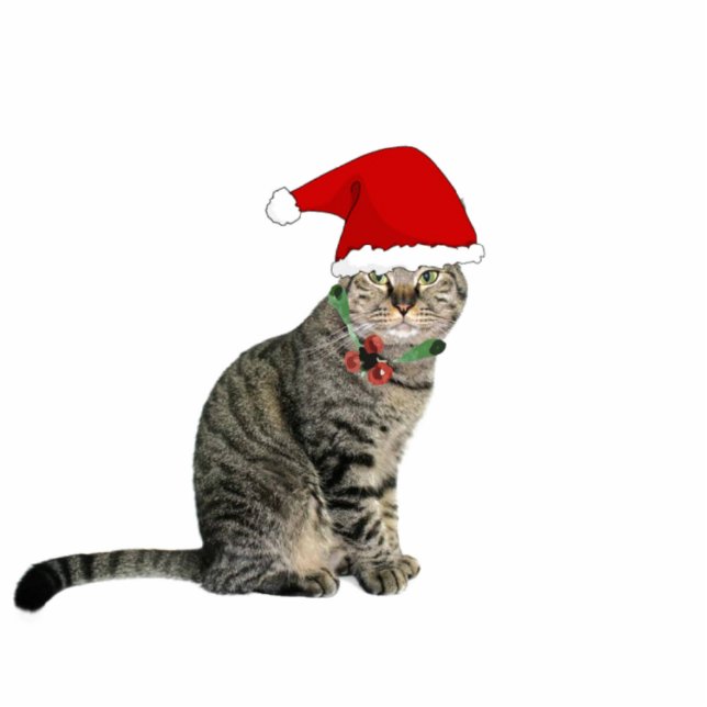 Ornement Photo Sculpture Tabby Père Noël Chat avec Casquette rouge 2"x3" (Devant)