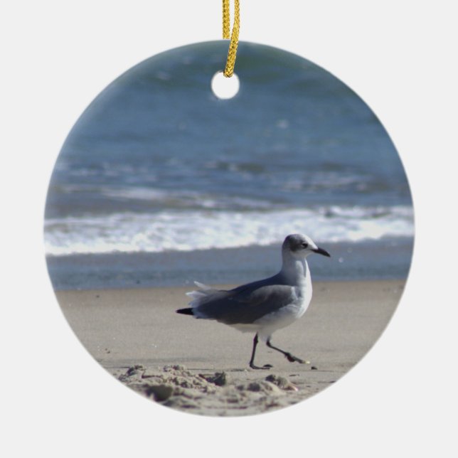 Ornement photo Seagull (Devant)