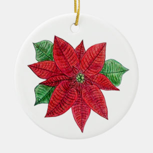 Ornement Poinsetta - Arrière - plan blanc