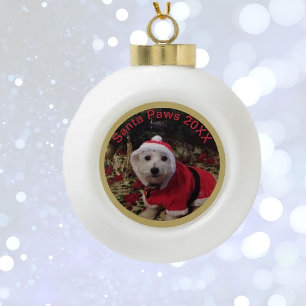 Ornement pour animaux! Santa Paws amusant! Boule e