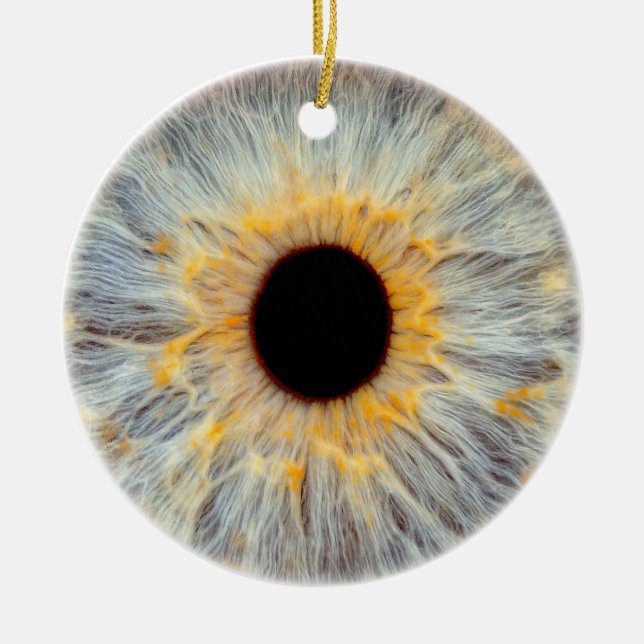 Ornement pour les yeux (Devant)