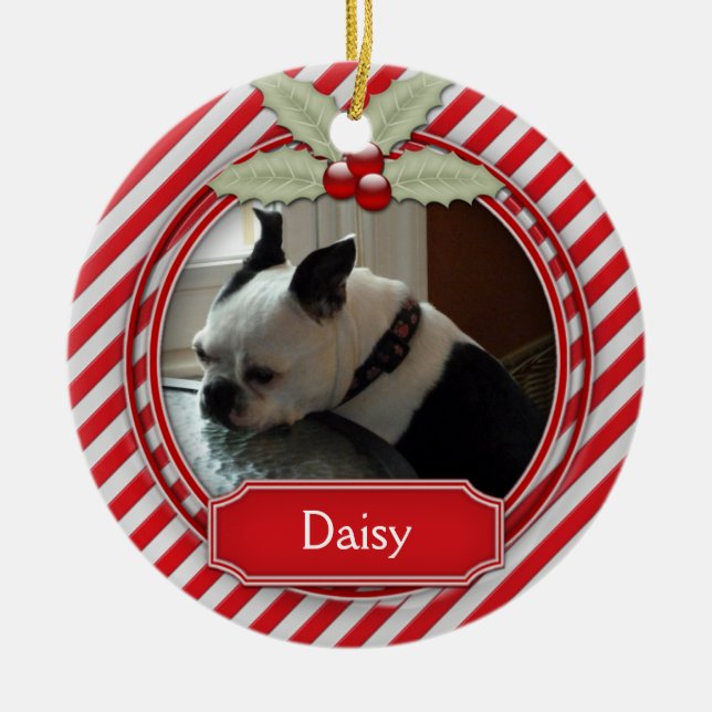 Ornement Rayure Bonbon de Noël pour animaux (Devant)