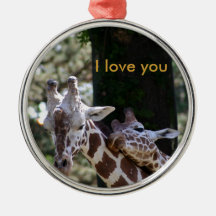 Amour de girafe