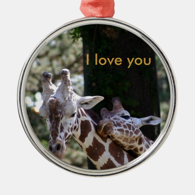 Ornement Rond Argenté Amour de girafe (Devant)