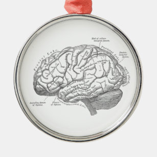 Ornement Rond Argenté Anatomie vintage de cerveau