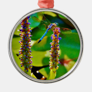 Ornement Rond Argenté Bleu libellule et fleurs