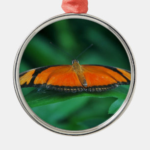 Ornement Rond Argenté Bright Orange and Black Butterfly on Leaf