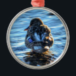 Ornement Rond Argenté Canard de Mallard dans la rivière Winter - Photo F<br><div class="desc">Un Mallard froid s'agite dans une rivière canadienne,  attendant que le vent froid s'efface. Cette photo récente donne une toute nouvelle signification au terme "Cold Duck". Un design magnifique sur ce cadeau pour les amoureux de la nature.</div>