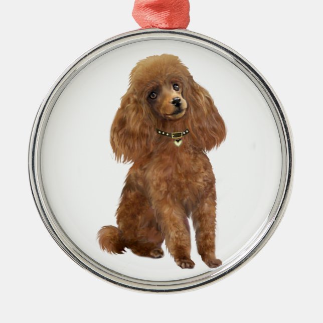 Ornement Rond Argenté Caniche - Abricot (Devant)