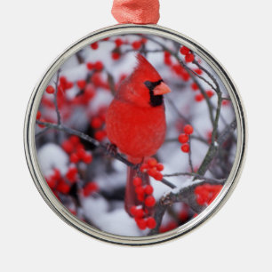 Ornement Rond Argenté Cardinal rouge mâle, Hiver, IL