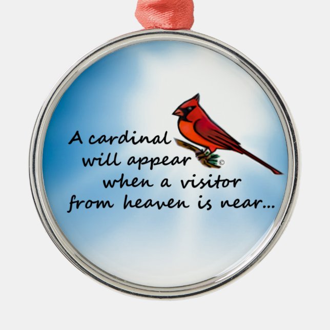 Ornement Rond Argenté Cardinal, visiteur de ciel (Devant)