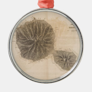 Ornement Rond Argenté Carte vintage du Tahiti (1845)