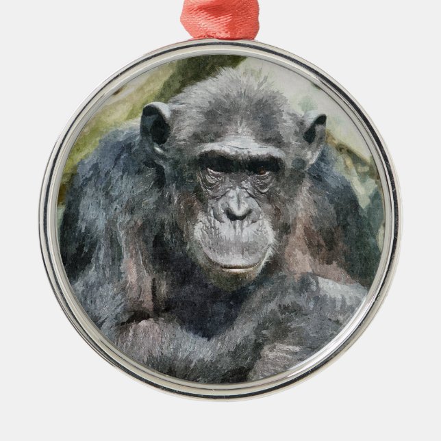 ORNEMENT ROND ARGENTÉ CHIMPANZÉS MIGNONS (Devant)