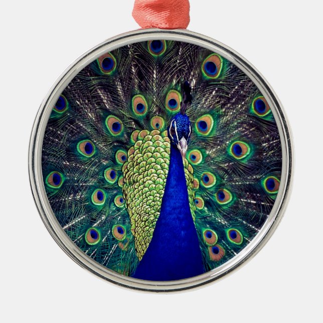 Ornement Rond Argenté Cobalt Blue Peacock (Devant)