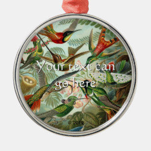 Ornement Rond Argenté Colibri vintage