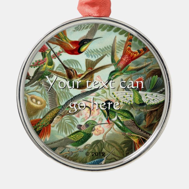 Ornement Rond Argenté Colibri vintage (Devant)