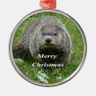 Ornement Rond Argenté Consommation de Groundhog