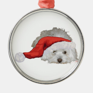 Ornement Rond Argenté Coton de Tulear - En attente