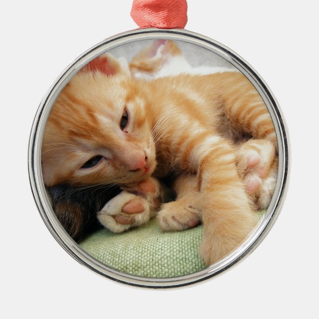 Ornement Rond Argenté Cute Tiger Stripe Kitten (Devant)