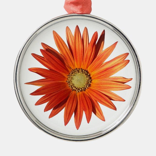 Ornement Rond Argenté Daisy africain (Devant)