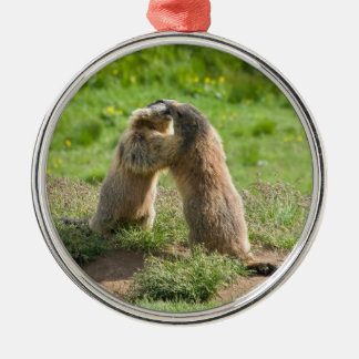 Ornement Rond Argenté deux jeunes marmottes