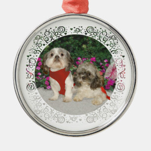 Ornement Rond Argenté Deux Shih Tzus dans un jardin