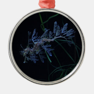 Ornement Rond Argenté Dragon de mer