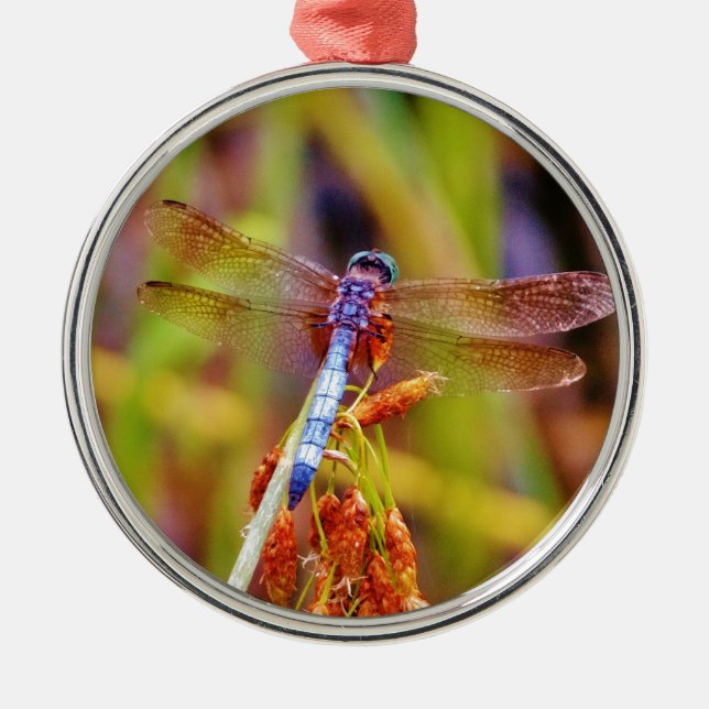 Ornement Rond Argenté Dragonfly turquoise sur le carex (Devant)
