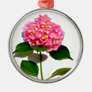 Ornement Rond Argenté Elégante hydrangée rose fleurie rose