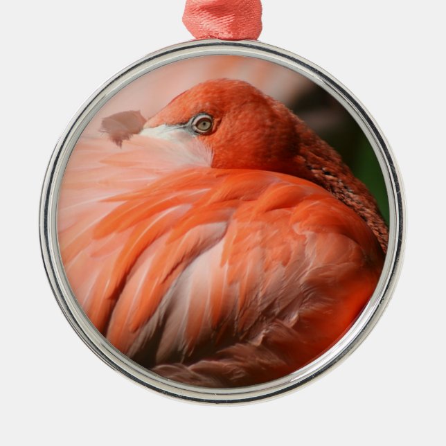 Ornement Rond Argenté Flamant rose (Devant)