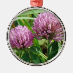 Ornement Rond Argenté Fleur sauvage rose de trèfle - pratense de