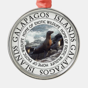 ORNEMENT ROND ARGENTÉ GALAPAGOS SCELLE EN ROND