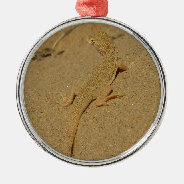 Ornement Rond Argenté Lizard frange mojave (Devant)