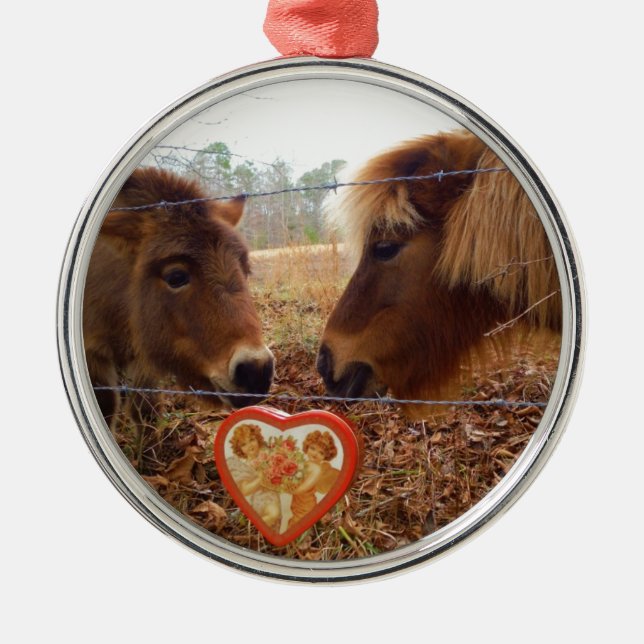 Ornement Rond Argenté Miniature Donkey & Horse Valentine Heart (Devant)