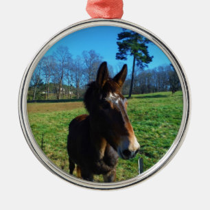 Ornement Rond Argenté mule Brown et blanche