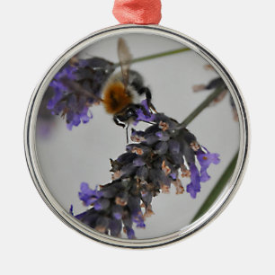 Ornement Rond Argenté Natures de merveilleux travailleurs