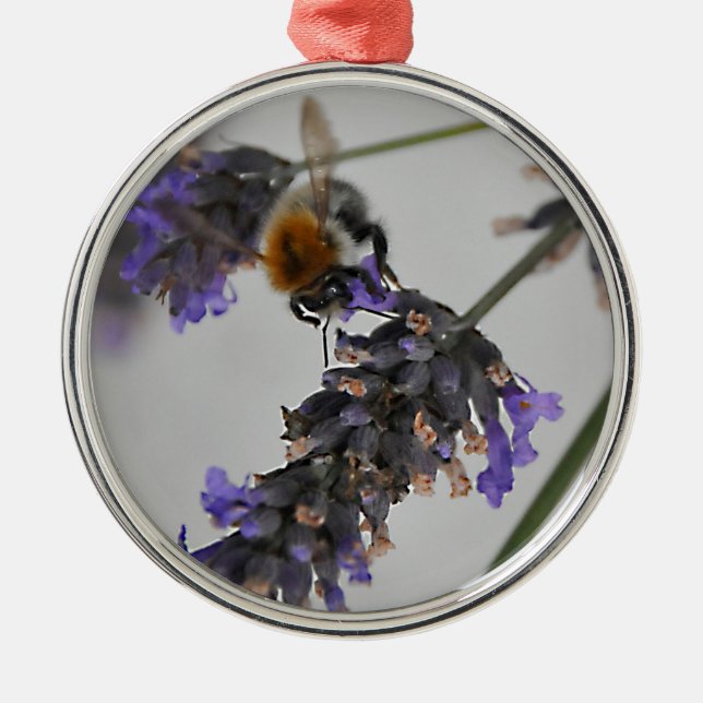 Ornement Rond Argenté Natures de merveilleux travailleurs (Devant)