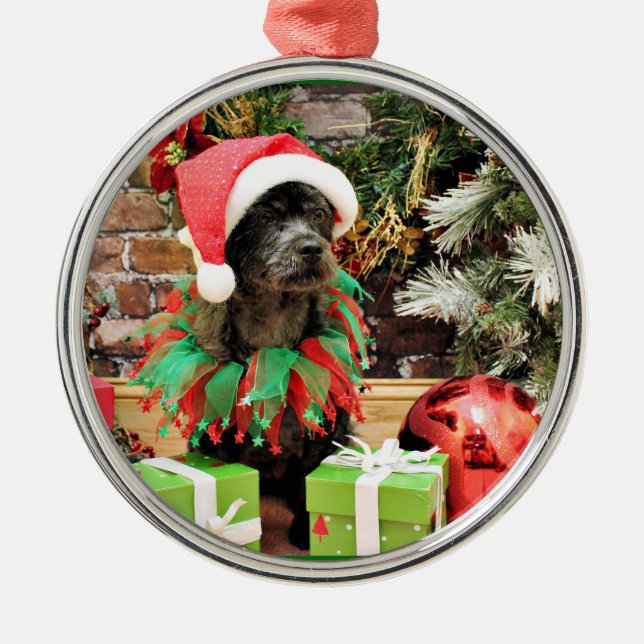 Ornement Rond Argenté Noël - Schnoodle - novice (Devant)