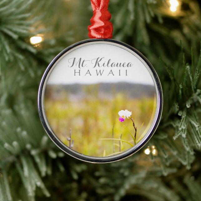 Ornement Rond Argenté Parc national des volcans d'orchidées tropicales d (Arbre)