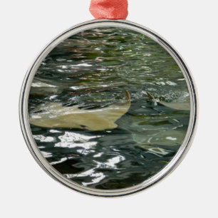 Ornement Rond Argenté Pastenague