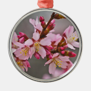 Ornement Rond Argenté Pink Against A Gray Sky Japanese Cherry Blossoms
