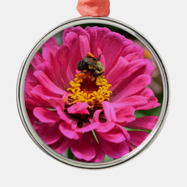 Ornement Rond Argenté Pink Zinnia and Bumble bee (Devant)