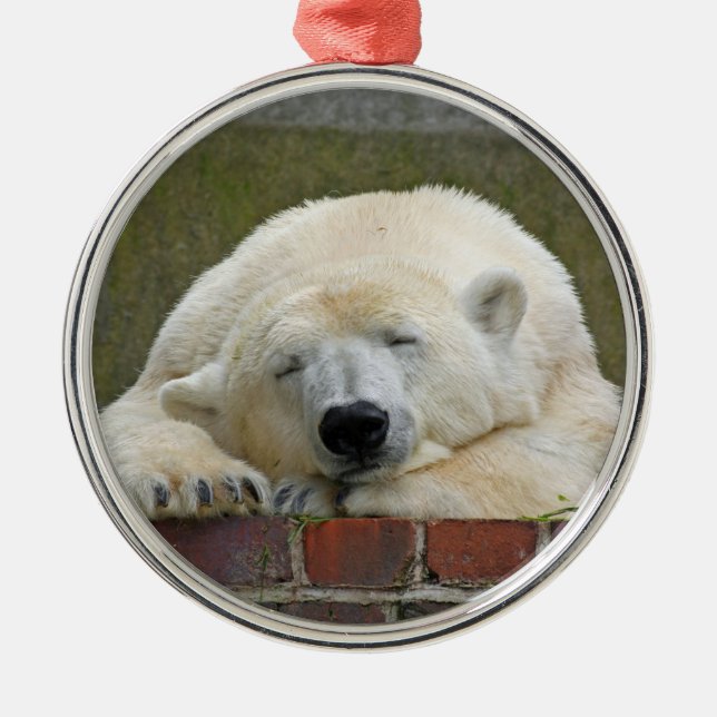Ornement Rond Argenté PolarBear20150501 (Devant)