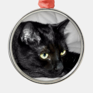 Ornement Rond Argenté Portrait de chat noir mignon