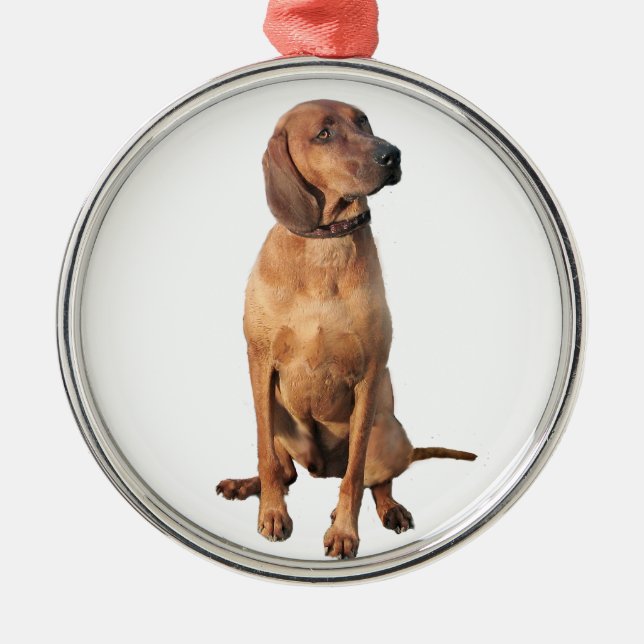 Ornement Rond Argenté Redbone Coon Hound (A) (Devant)