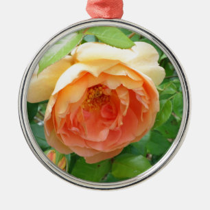 Ornement Rond Argenté Romantique élégant Rose orange