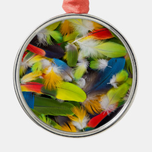 Ornement Rond Argenté Tas de plumes colorées