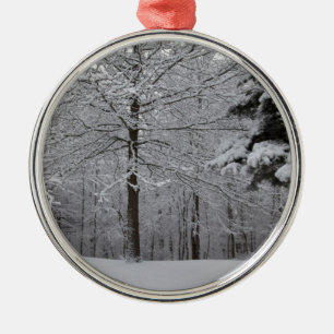 Ornement Rond Argenté Vue Woods