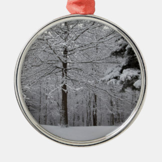 Ornement Rond Argenté Vue Woods