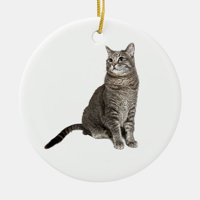 Ornement rond de chats abyssiniques (Devant)